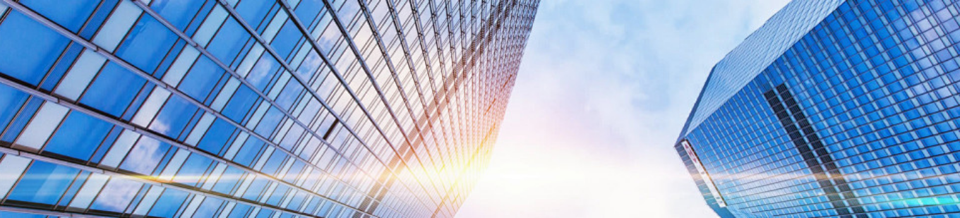 Company Profile